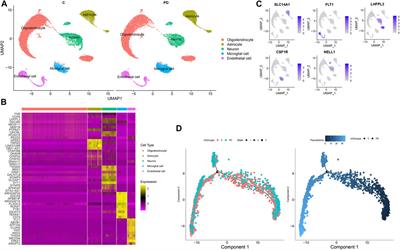 Single-Cell Transcriptomics Uncovers Cellular Heterogeneity, Mechanisms, and Therapeutic Targets for Parkinson’s Disease